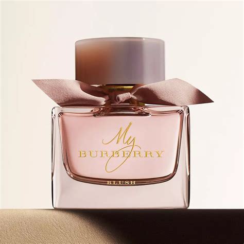 womens burberry purfume|best women's burberry perfume.